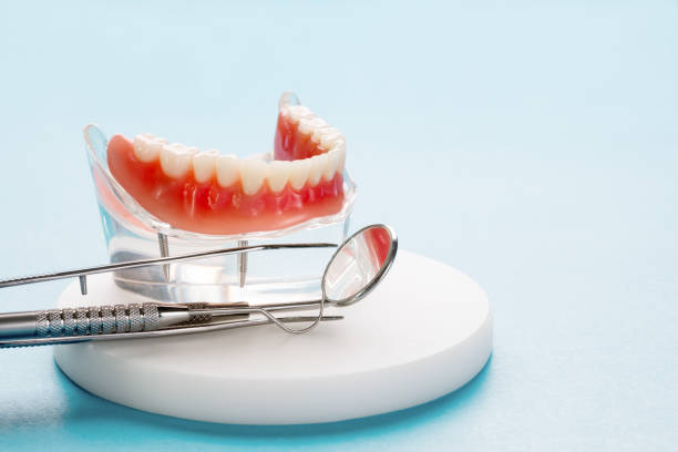 Best Veneers and Lumineers  in Redington Beach, FL
